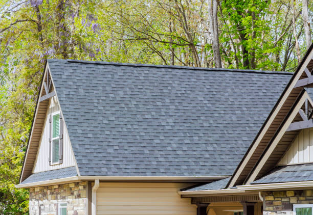 Best Solar Panel Roofing Installation  in Rolling Meadows, IL